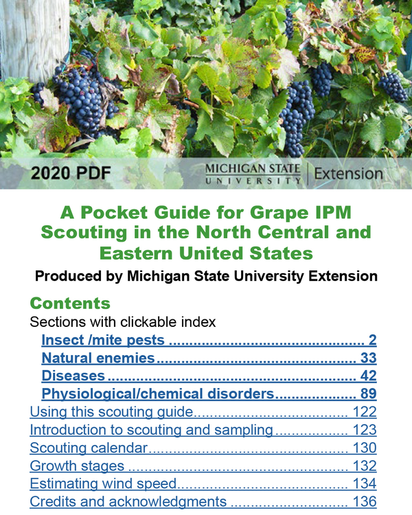 2020Grape IPM cover image